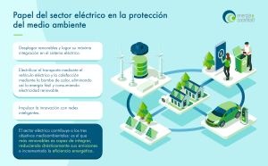 El papel del sector eléctrico en la protección del medio ambiente ...