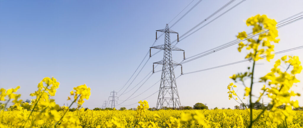 La electrificación: el motor de la competitividad y la seguridad energética en Europa